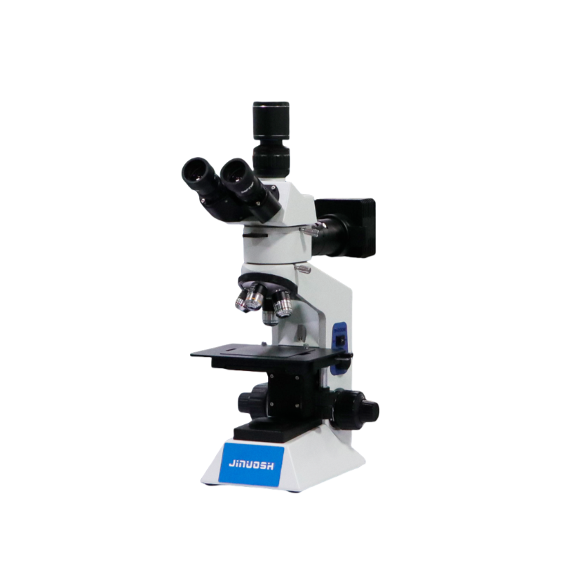 显微镜：解密微观世界的